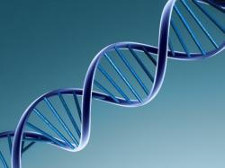 Генетическая экспертиза (тест ДНК)